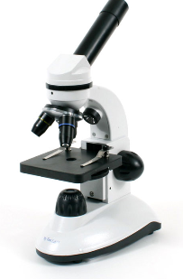 Microscopes From Wondrous Toy to Essential Tool