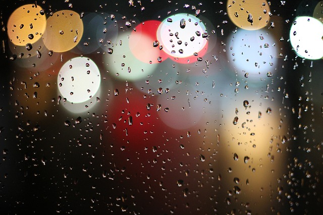 Window Lights Rain