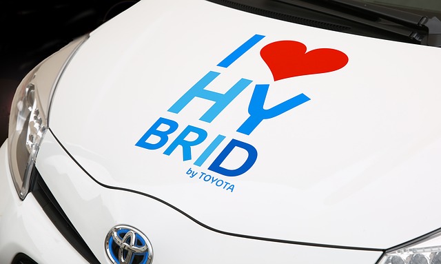 I Love Hybrid Car