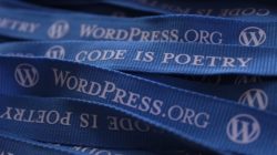 Wordpress Lanyards