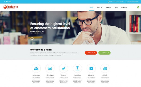 Consulting Agency WordPress Theme