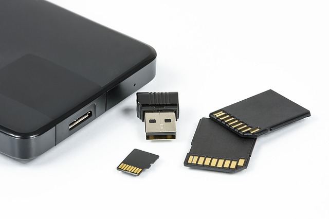 Memory Cards Storage